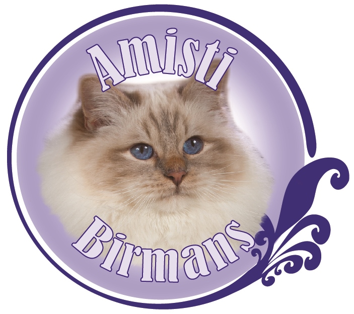 Amisti Birmans
